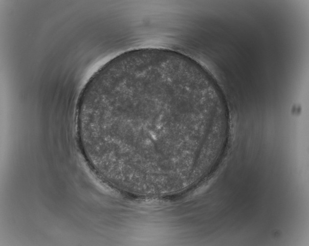 X0000112731077200910011151