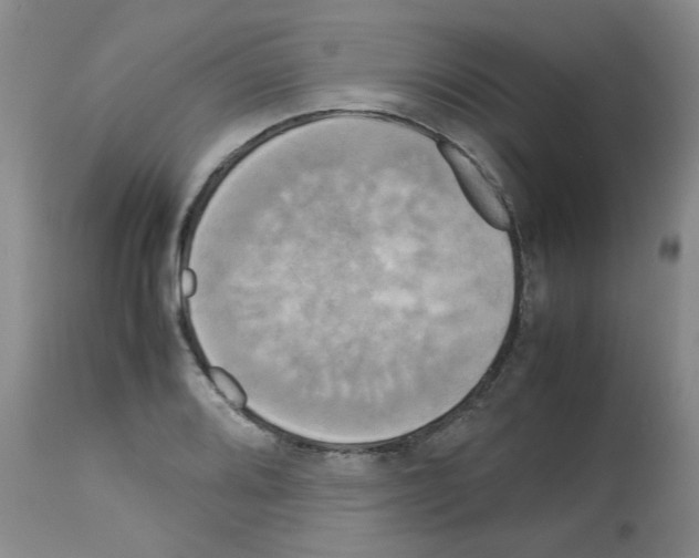 X0000112731080200910011151