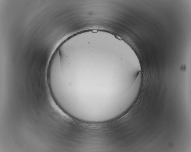 X0000112731084200910011151