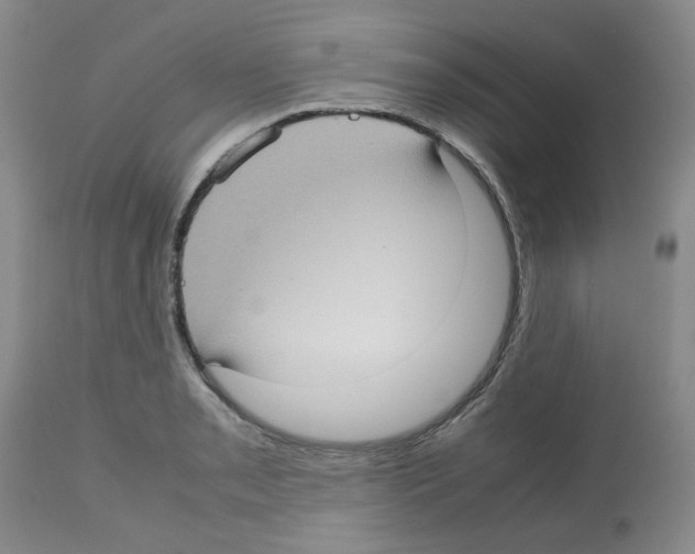 X0000112731085200910011151
