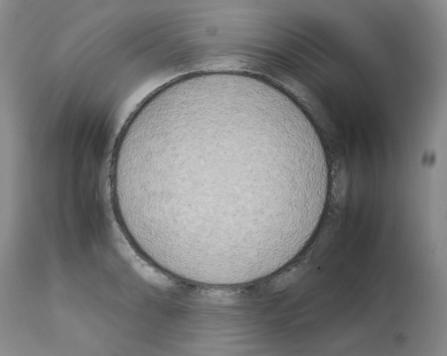 X0000112731086200910011151