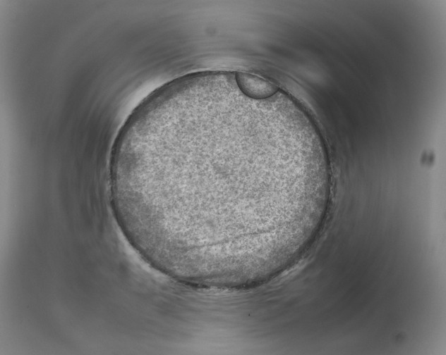 X0000112731087200910011151