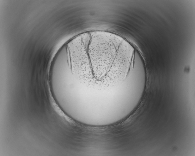 X0000112731088200910011151
