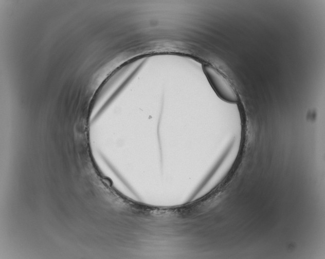 X0000112731089200910011151