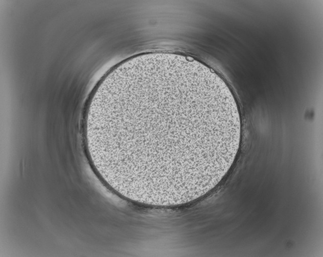 X0000112731091200910011150