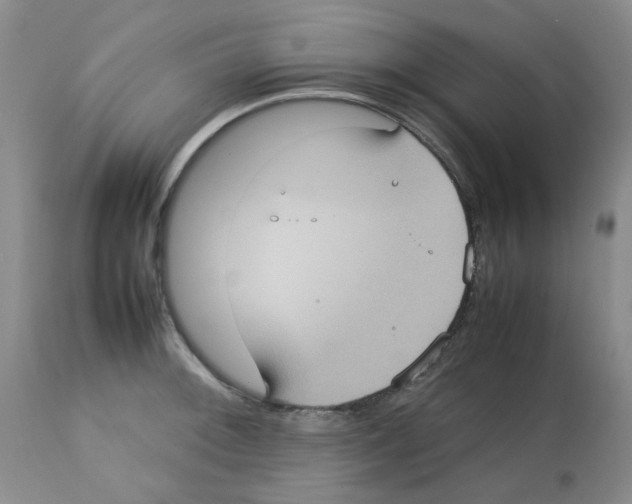 X0000112731092200910011150