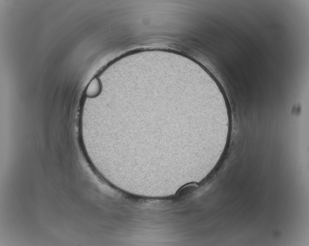 X0000112731093200910011150