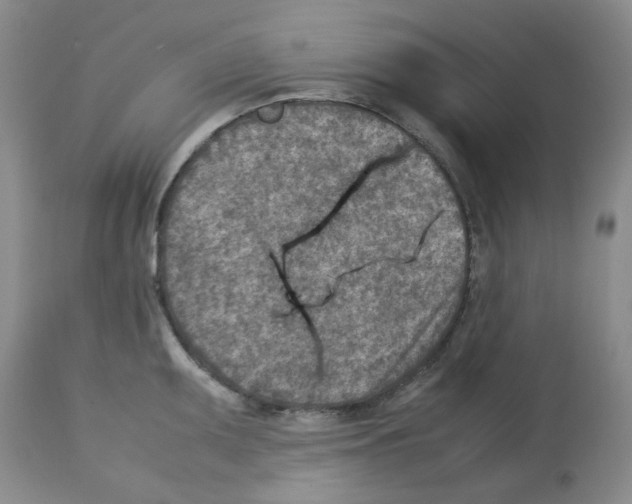 X0000112731095200910011150