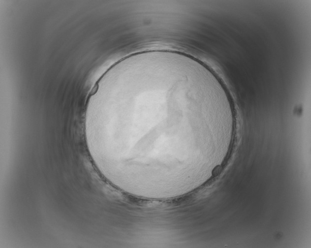 X0000112731097200910011150