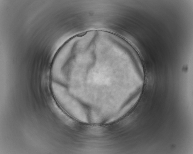 X0000112731100200910011150