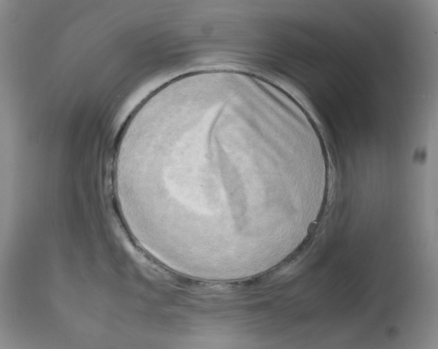 X0000112731101200910011150