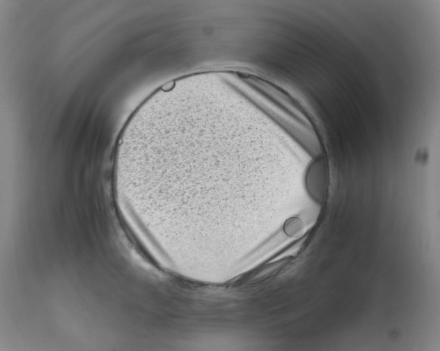 X0000112731102200910011150