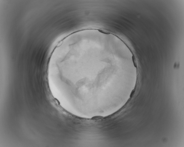 X0000112731104200910011150