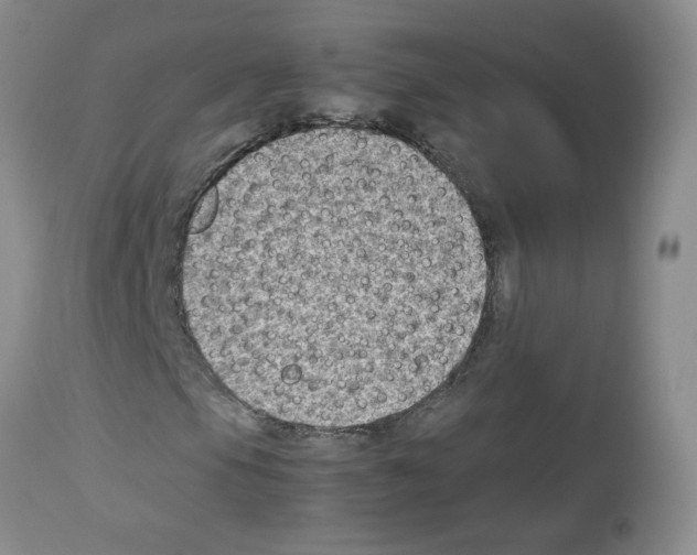 X0000112731105200910011149
