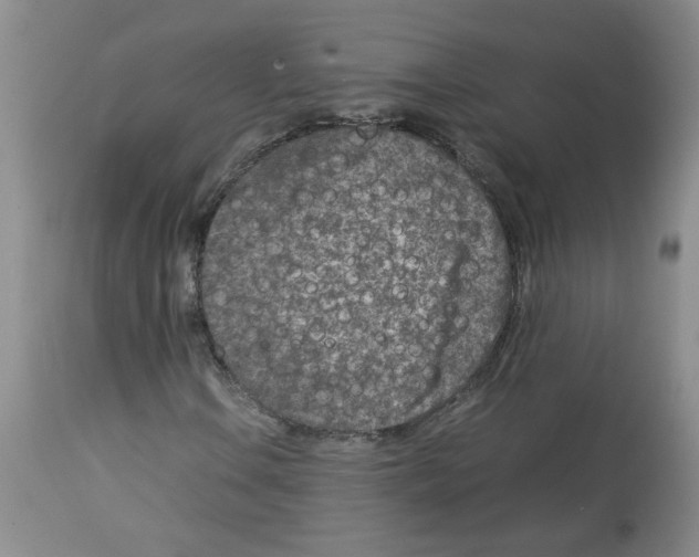 X0000112731106200910011149