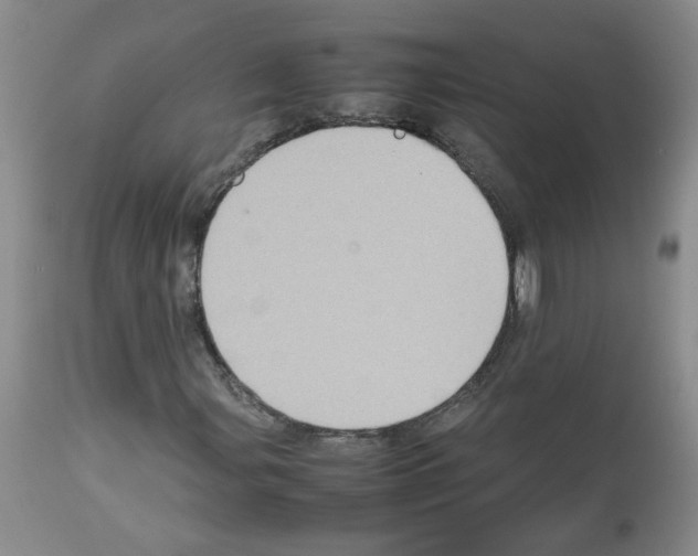 X0000112731107200910011150