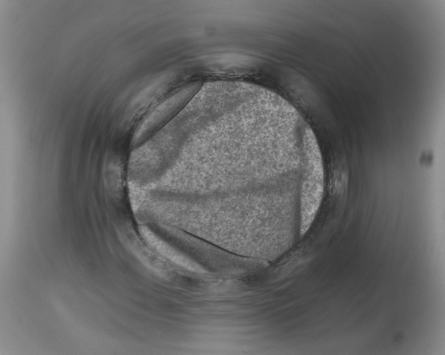 X0000112731108200910011150