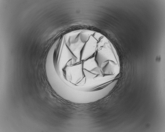 X0000112731110200910011150