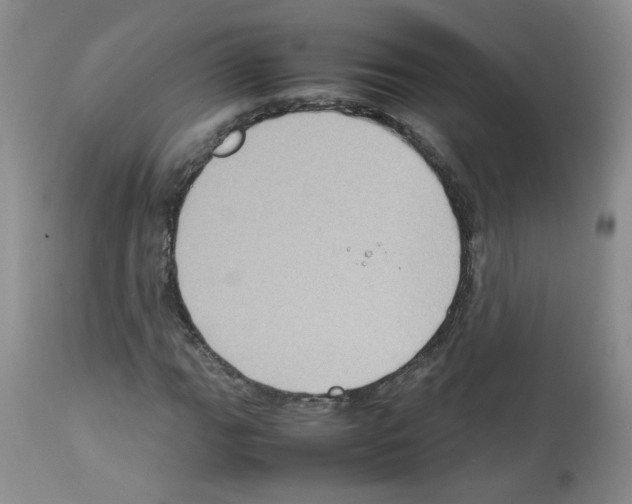 X0000112731111200910011150
