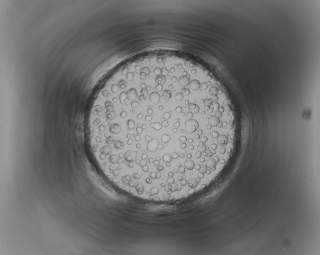 X0000112731113200910011150