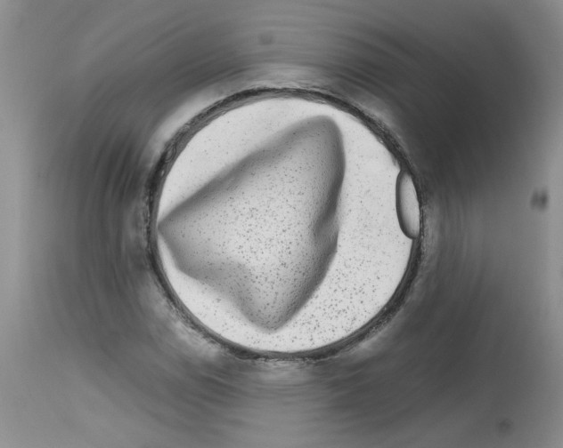 X0000112731114200910011150