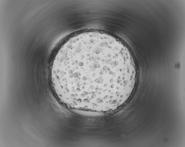 X0000112731115200910011150