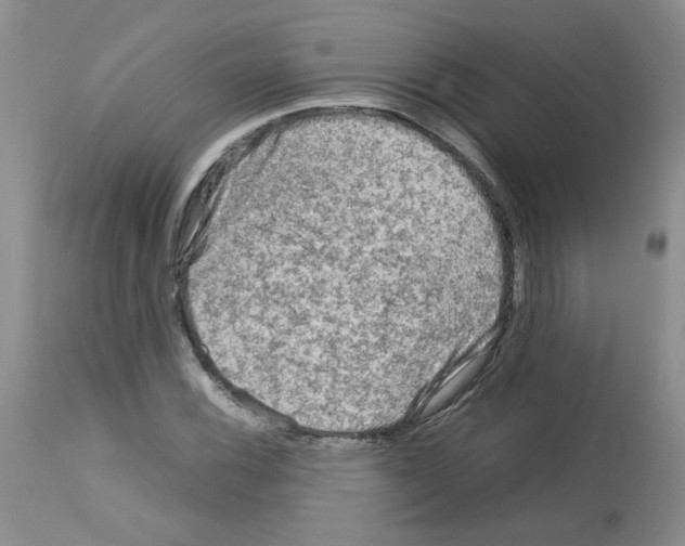 X0000112731116200910011150