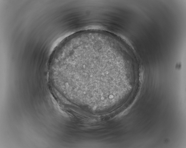 X0000112731117200910011150