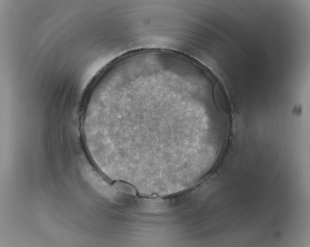 X0000112731120200910011150