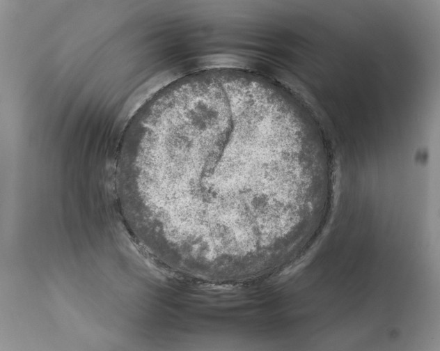 X0000112731121200910011150