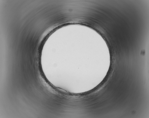 X0000112731122200910011150