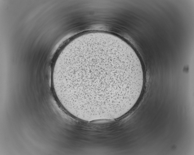 X0000112731123200910011150