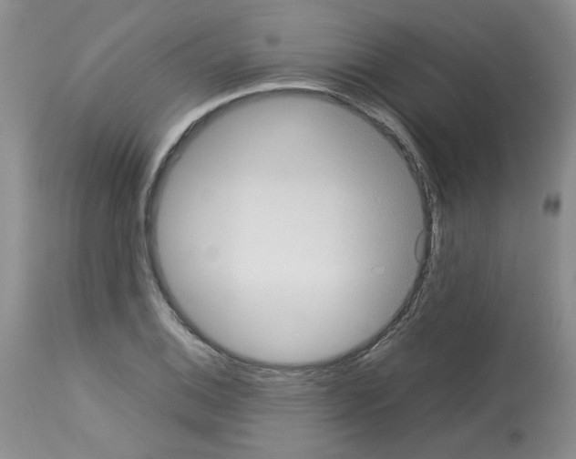 X0000112731124200910011150