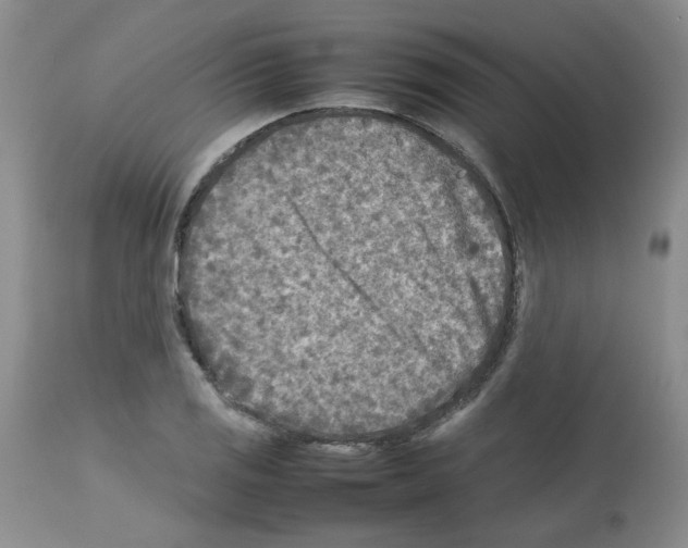 X0000112731125200910011150