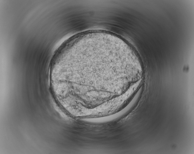 X0000112731127200910011150