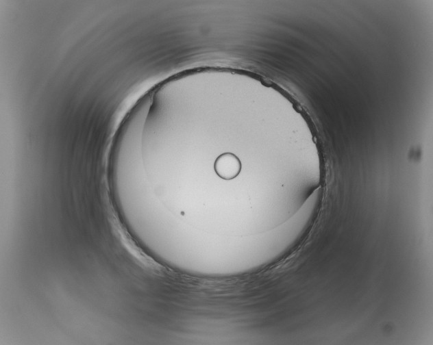 X0000112731128200910011150