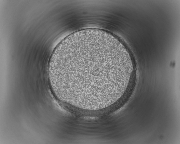 X0000112731129200910011150
