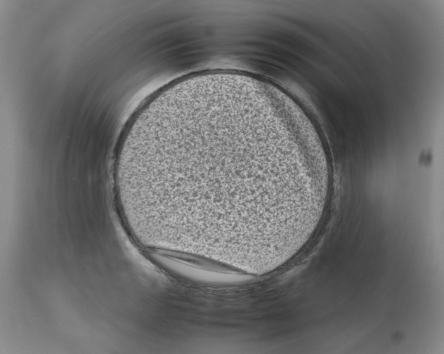 X0000112731133200910011150