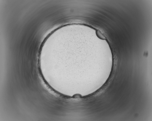 X0000112731134200910011150
