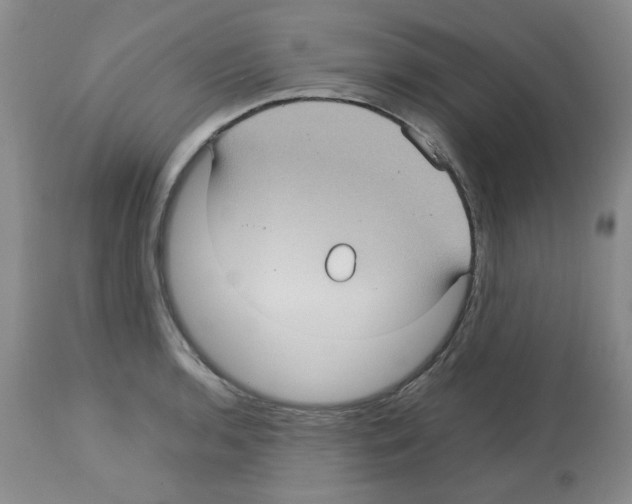 X0000112731136200910011150