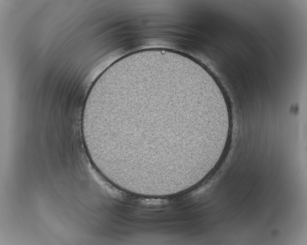 X0000112731137200910011150