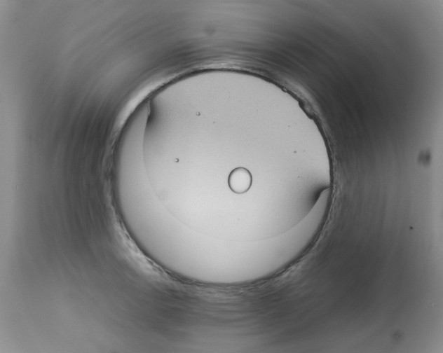 X0000112731138200910011150