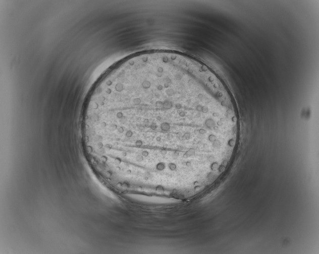 X0000112731141200910011150