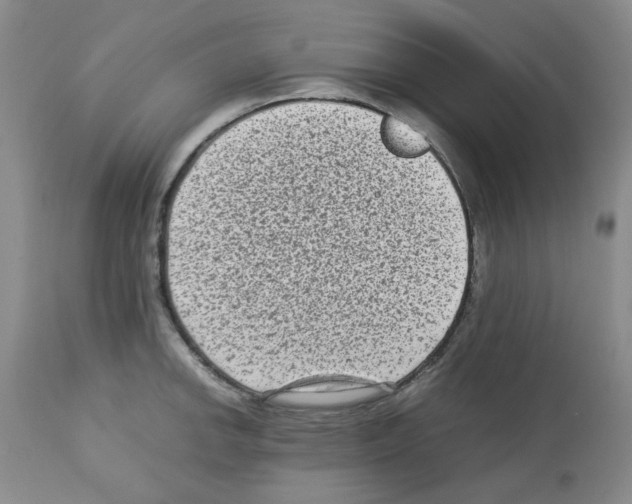 X0000112731142200910011150
