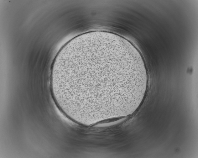 X0000112731143200910011150