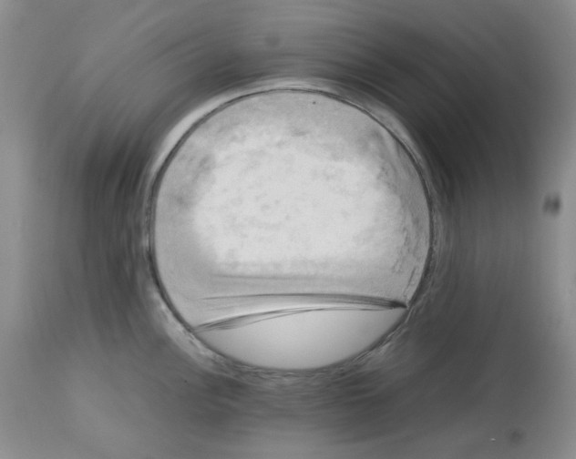 X0000112731148200910011150