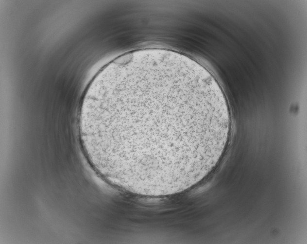 X0000112731149200910011150