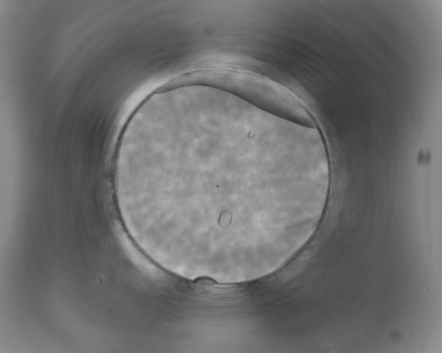 X0000112731152200910011150