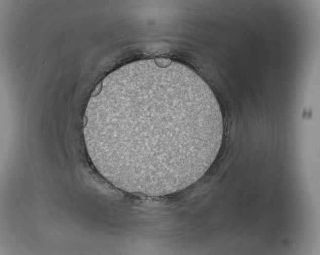 X0000112731153200910011149
