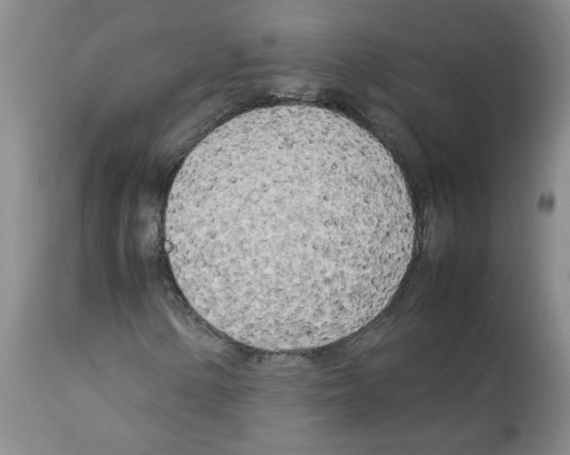 X0000112731154200910011149